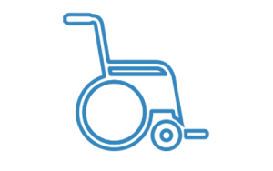 icon-disabili